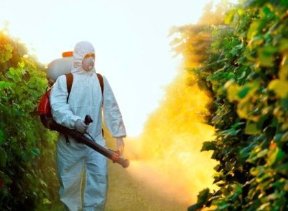 Kako da uklonimo pesticide iz povrća i voća