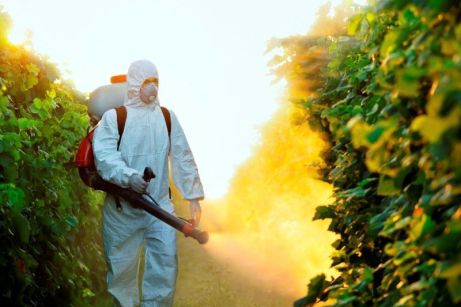 Kako ukloniti pesticide iz voća i povrća